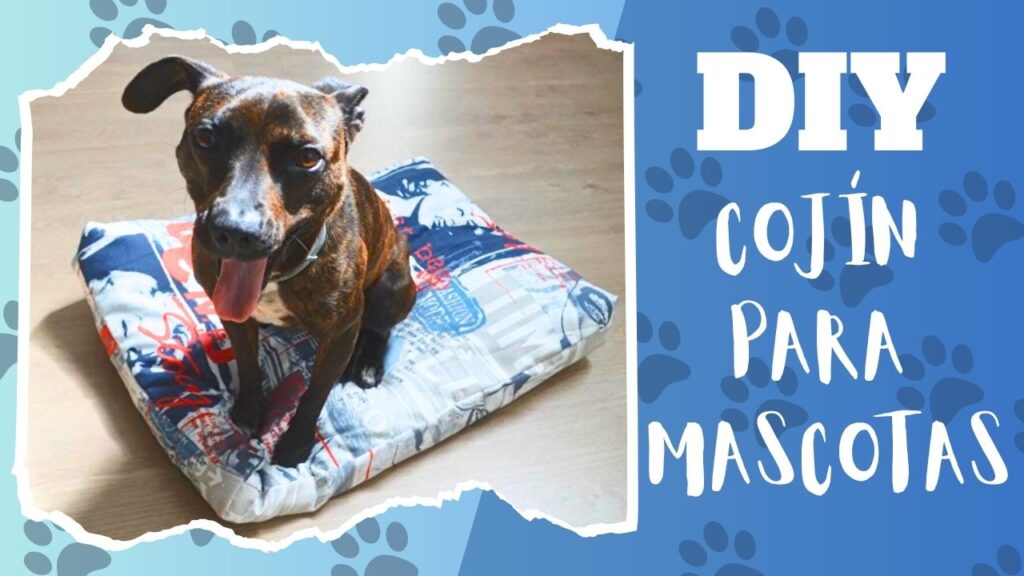 Cómo hacer un cojín para mascotas