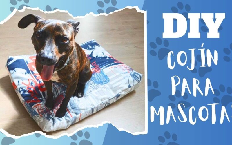 Cómo hacer un cojín para mascotas